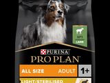 Purina Pro Plan Adult Light / Aliment pour chiens stérilisés