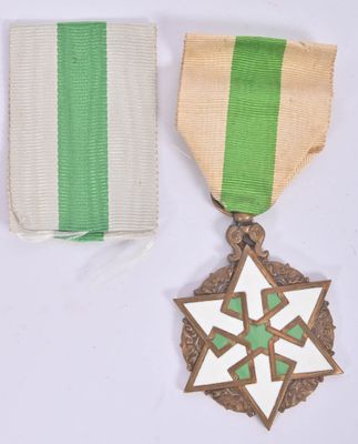 two medals and a ribbon on a white surface