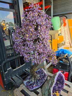 a bonsai tree that is sitting on a pallet in front of a building