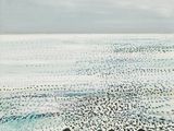 un tableau représentant un groupe d'oiseaux marchant sur la plage