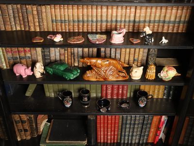 many bookshelves with many different types of books on them