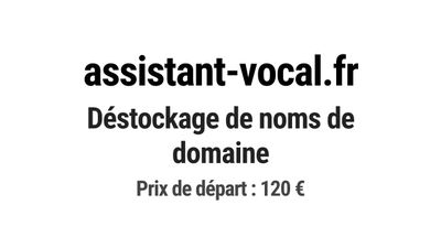 Nom de domaine assistant-vocal.