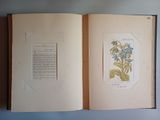 an open book with a picture of a blue flower on it