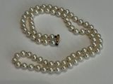 collier de perles avec un fermoir en or sur fond blanc