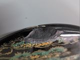 a bird that is sitting on top of a plate