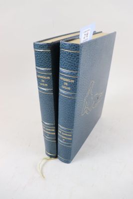 Deux livres bleus sont posés l'un sur l'autre sur une surface blanche.