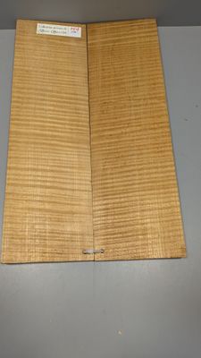 Fond en érable pour violon, en deux parties, ~45cm