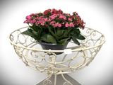 a potted plant sitting on top of a metal stand