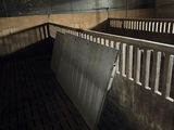 dimly lit photo of a horse stall with a wooden floor and metal railings
