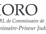 Photo 1/1 du lot