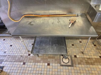une image d'une cuisine avec un évier et une cuisinière