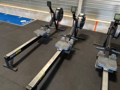quatre rameurs alignés dans une salle de sport