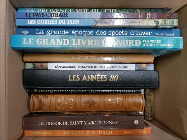 Lot de livres illustrés (voyages) et « le chevalier au lion » ill