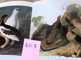 une photo d'un livre sur lequel figure une illustration d'oiseaux