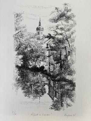 un dessin en noir et blanc représentant un château au milieu d'une forêt
