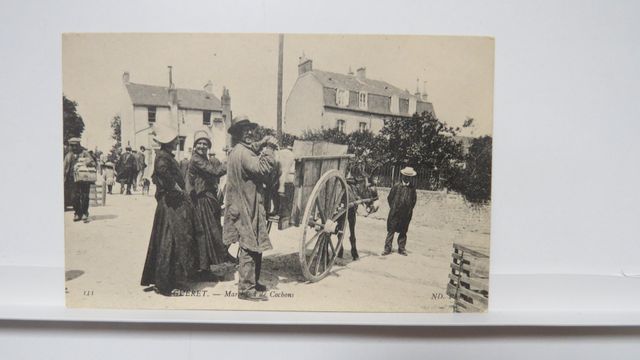 Guéret : Marchand de cochons (ND 111). État superbe.