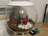 a fish bowl with rocks and plants in it on a desk