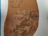 a close up of a piece of paper with a drawing of leaves on it