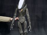 Quelqu'un montre du doigt un petit extraterrestre en peluche qui porte un chapeau