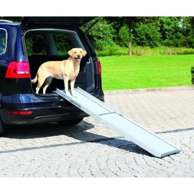 un chien debout sur une rampe à l'arrière d'une voiture