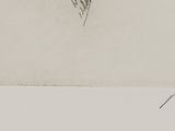 drawing of a bird sitting on top of a piece of paper