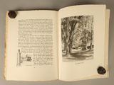 an open book with a picture of a park in it