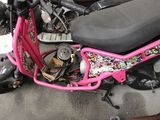 a pink scooter that is parked next to other scooters