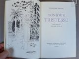 quelqu'un tient un livre dans lequel figure le dessin d'un jardin
