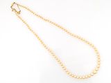 a gold necklace with pearls on a white background