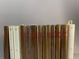 plusieurs livres sont alignés sur une surface grise