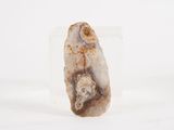 a picture of a piece of rock on a white surface