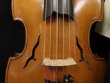 a violin that is sitting next to a bottle of wine