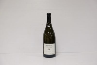 1 Mag - SAINT-AUBIN LES CHARMOIS Blanc (1er Cru) - Domaine S…