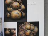 un livre ouvert sur lequel figure l'image d'un panier de fruits