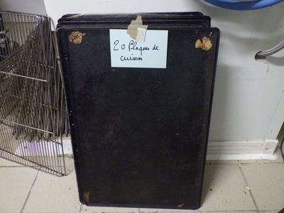 une valise noire posée par terre à côté d'une cage