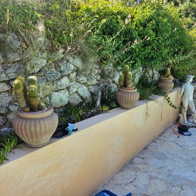 de nombreuses plantes en pot le long d'un mur de pierre