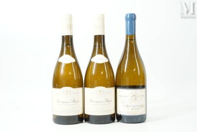trois bouteilles de vin posées les unes à côté des autres sur une surface blanche