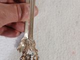 une personne tenant une cuillère en argent et une cuillère en argent