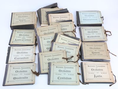un grand nombre de livres posés sur une table