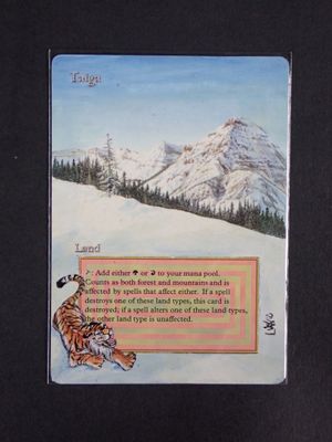 a card with a picture of a tiger in the snow