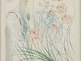 une image représentant le dessin d'une femme tenant des fleurs à la main