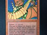 une image représentant une carte sur laquelle figure un dragon