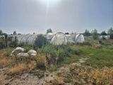 de nombreuses serres installées dans l'herbe au bord de l'eau