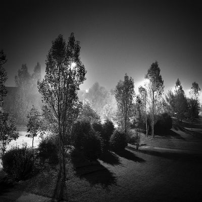 Daniel SOHIER Xxe. Le boulevard.