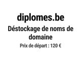 Photo 1/1 du lot