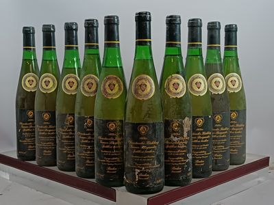 des bouteilles de vin sont alignées sur une table