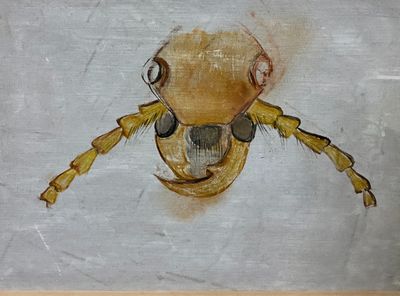 une peinture représentant un insecte accrochée au mur