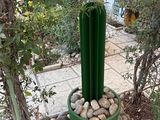 a green cactus plant in a green pot on the ground