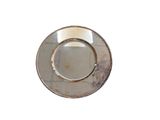 a silver plate with a silver rim on a white background