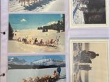 four pictures of a man on a sled being pulled by a dog